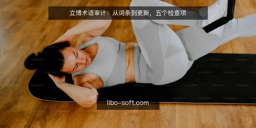 立博术语审计：从词条到更新，五个检查项 — 为什么现在要审计立博术语 配图
