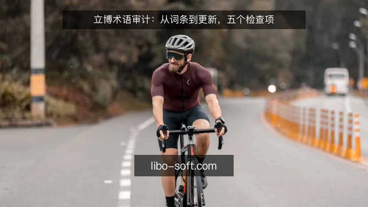 立博术语审计：从词条到更新，五个检查项