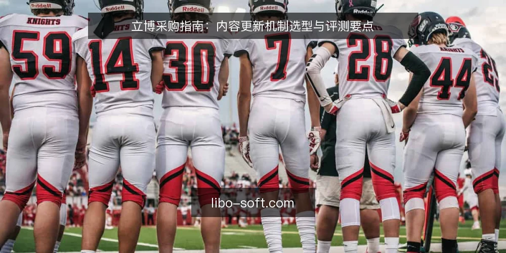 立博采购指南:内容更新机制选型与评测要点 — 先定决策标准:内容更新采购要解决什么 配图